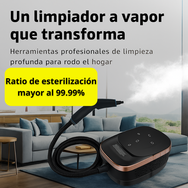 Limpiador a Vapor De 2500W, Esterilización De Alta Temperatura, Aire Acondicionado, Capó De Cocina, Limpiador Al Vapor Para El Hogar Y El Coche, Electrodomésticos